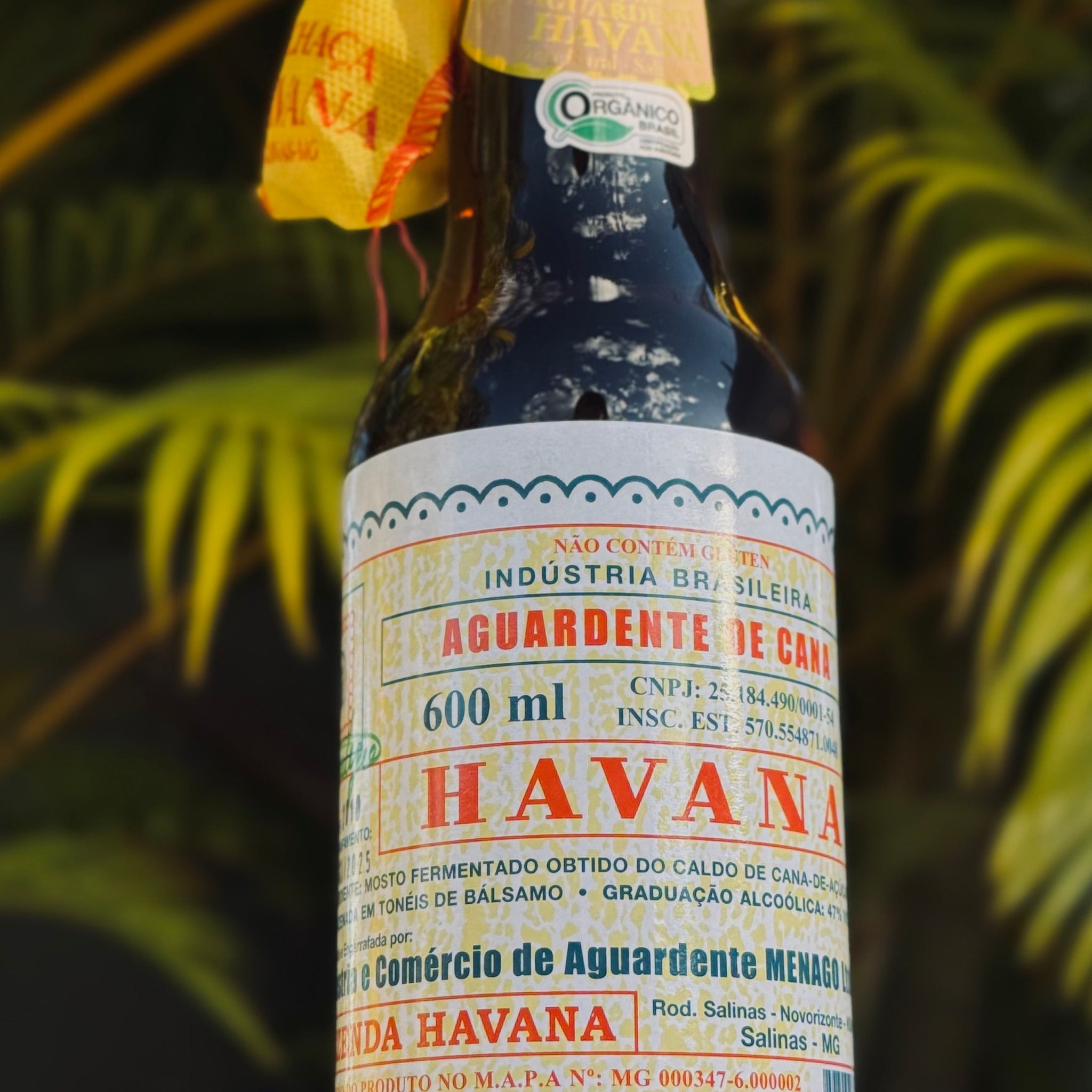 O legado da Havana