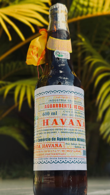 O legado da Havana