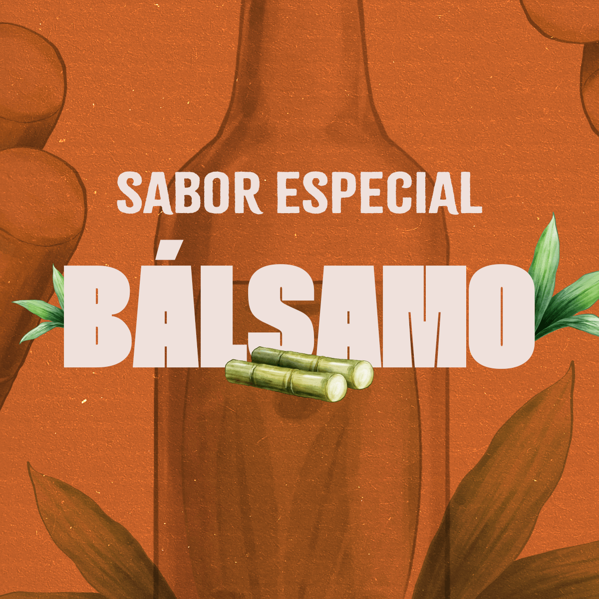 KIT PREMIUM SALINAS - EDIÇÃO LIMITADA - Empório Salinas