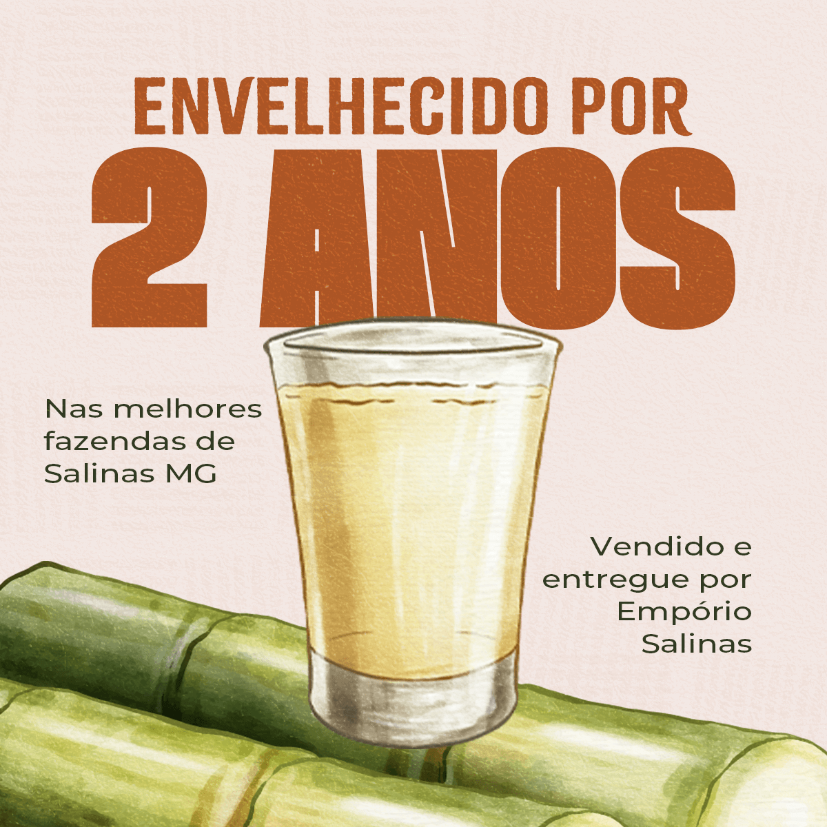 CACHAÇA SELETA OURO 1LT AGUARDENTE PINGA ANTÔNIO RODRIGUES - Empório Salinas